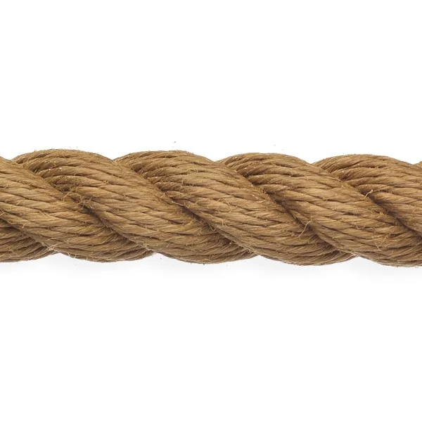 bachmans202606091620083436154