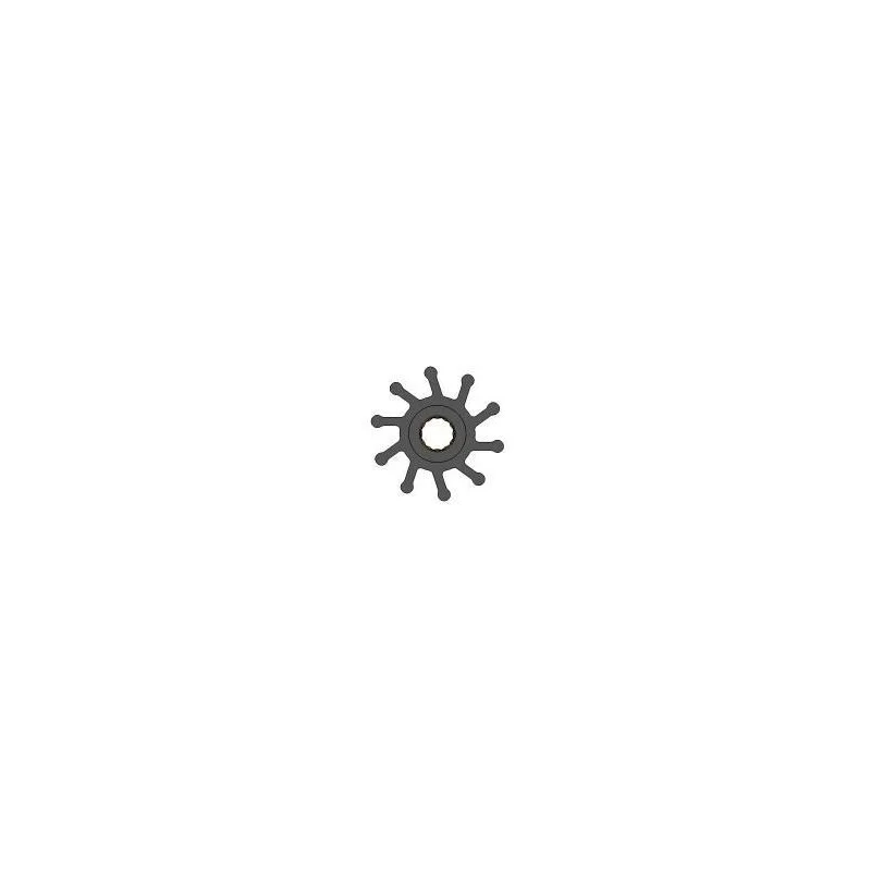 dintra202606090940063376472