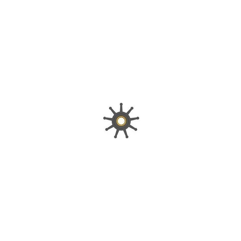 dintra202606090941493376798