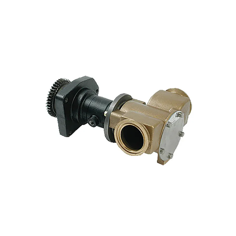 dintra202606091004463381332