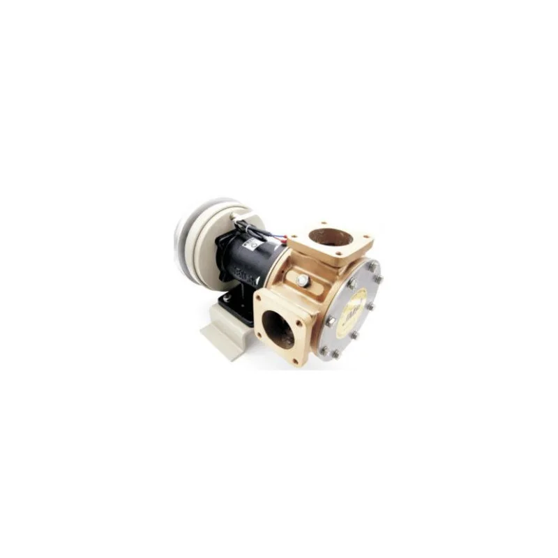 dintra202606091033283386884