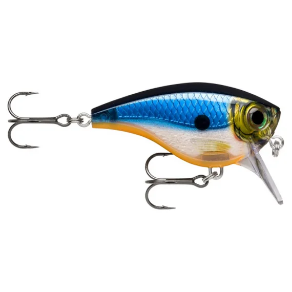 fishline202606081246293253812