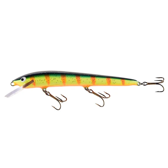 fishline202606081302543257229