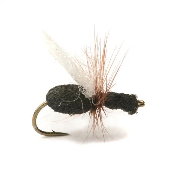 fishline202606081315533259596