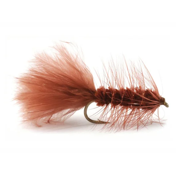 fishline202606081316303259704