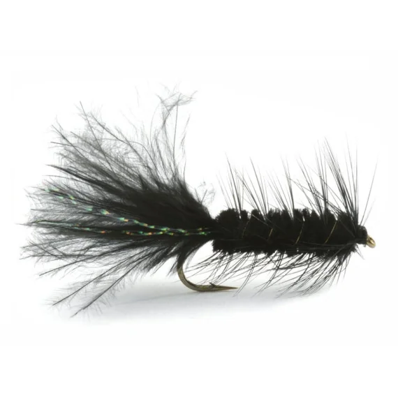 fishline202606081316303259707