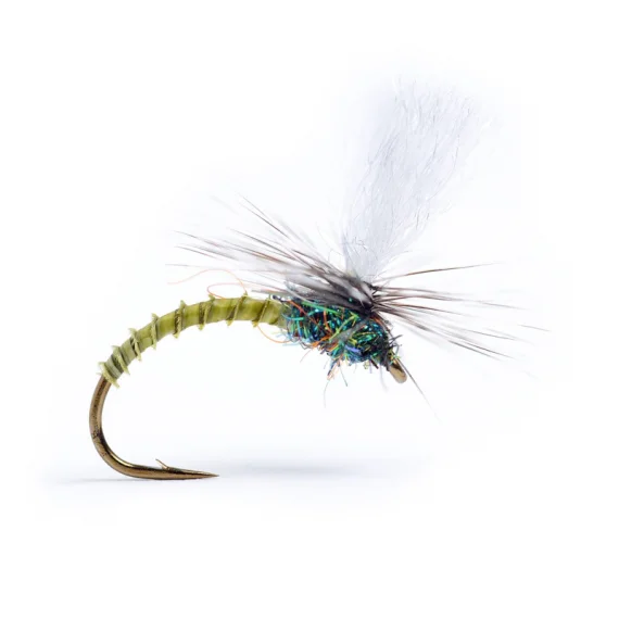 fishline202606081336073263117