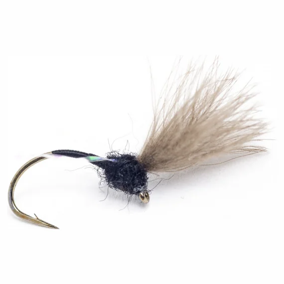 fishline202606081348213264953