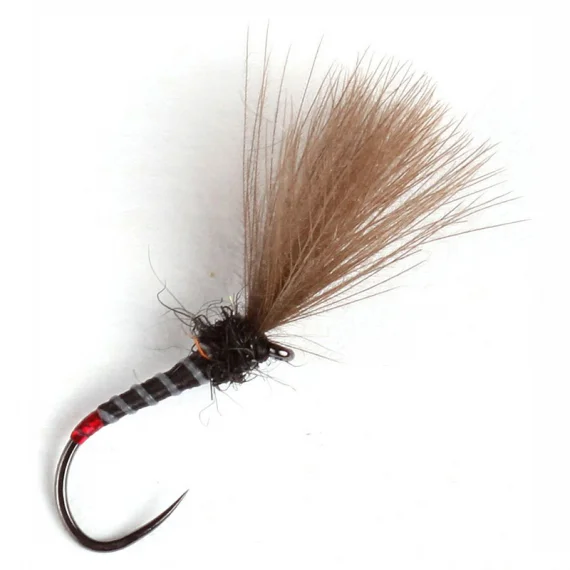 fishline202606081348303264974