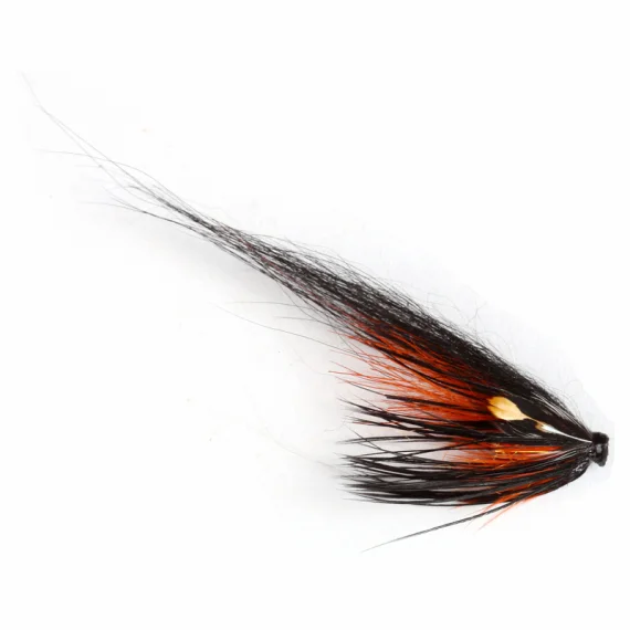 fishline202606081348393264991