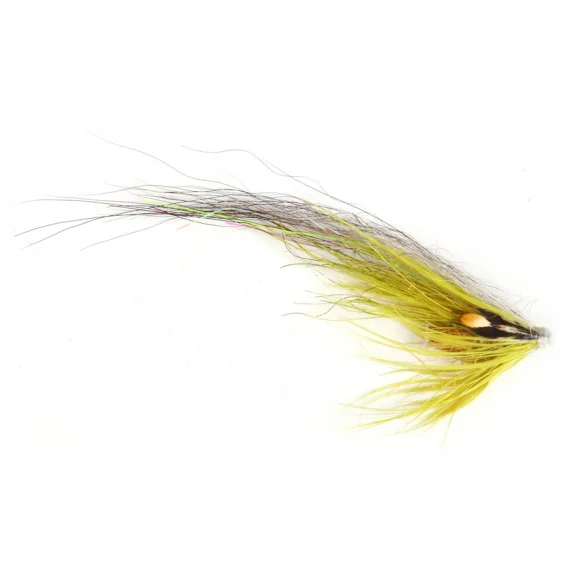 fishline202606081348413264997