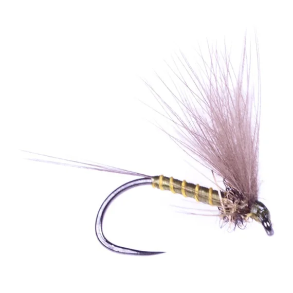 fishline202606081410163268405