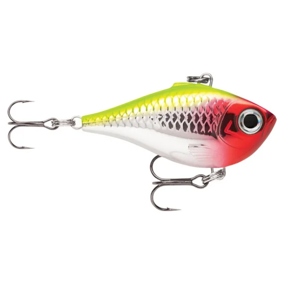 fishline202606081506063281277
