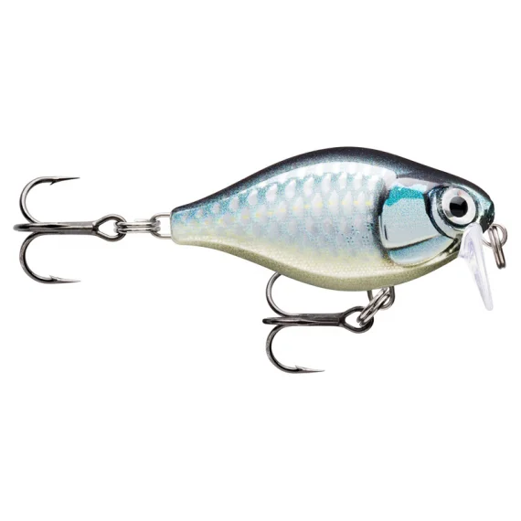 fishline202606081606153294504