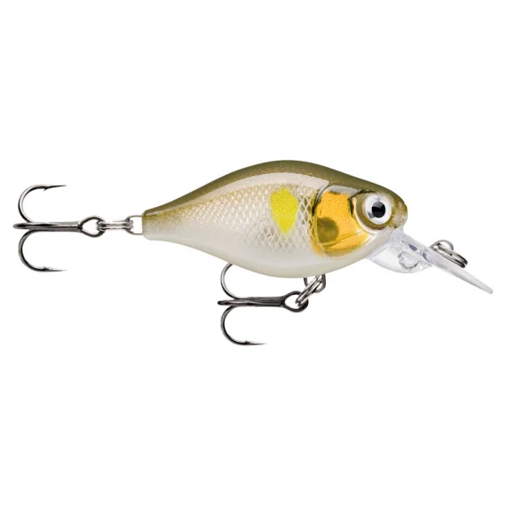 fishline202606081606153294505