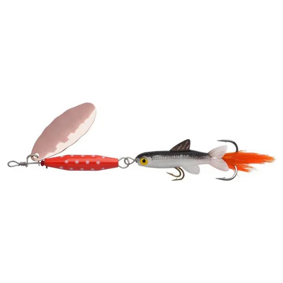 fishline202606081747103302161