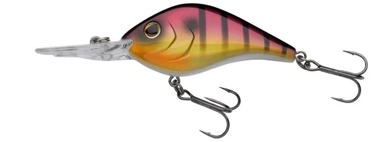fishline202606081749573302796
