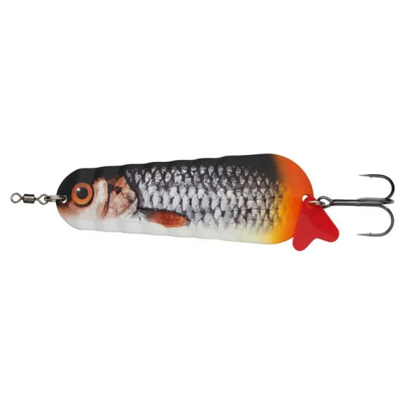 fishline202606081804453306064