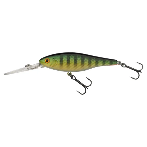 fishline202606081805293306208