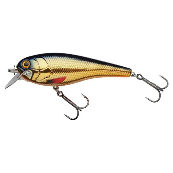 fishline202606081806203306424