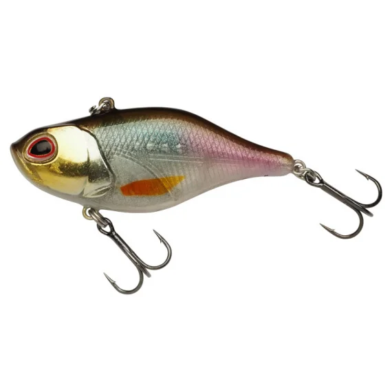 fishline202606081806533306543