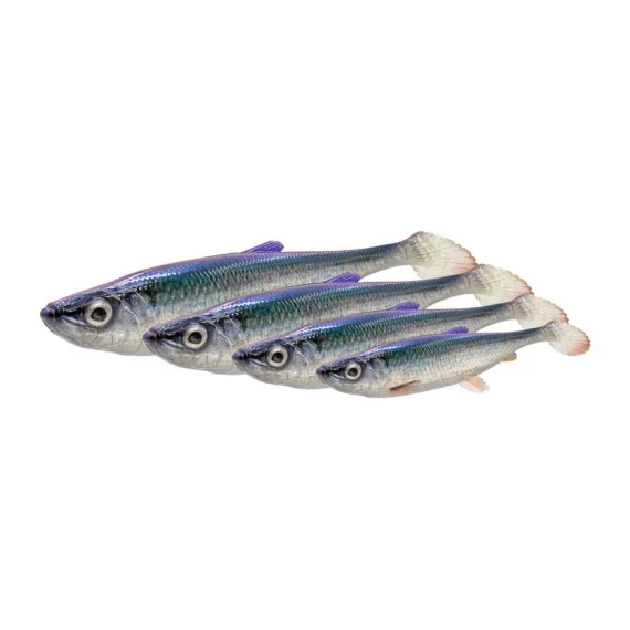 fishline202606081830233311799