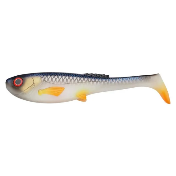 fishline202606081837413313387