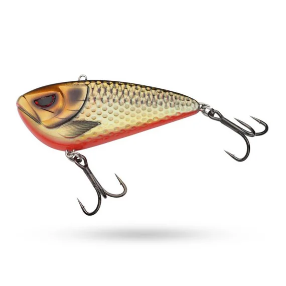 fishline202606081838013313456