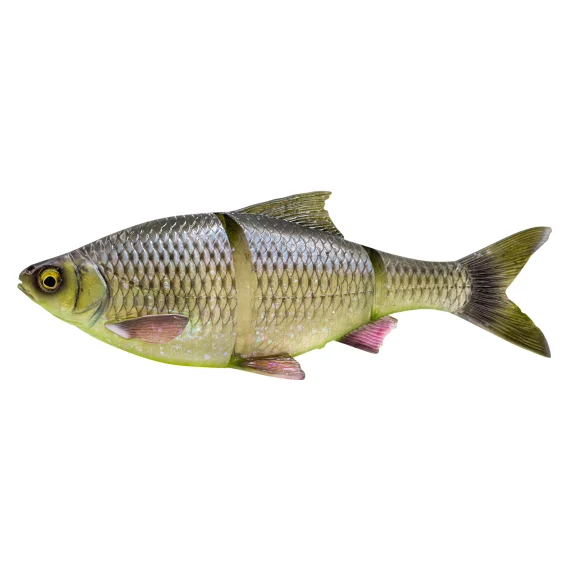 fishline202606081841543314293