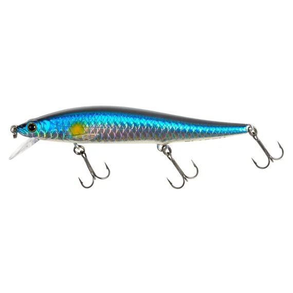 fishline202606081851363316306