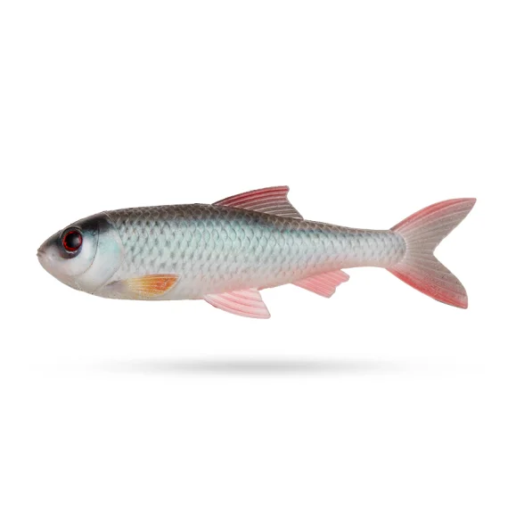 fishline202606081901393318319