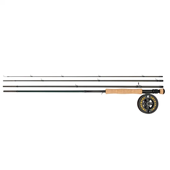 fishline202606082001343330228