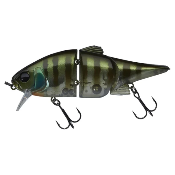 fishline202606082037383335112