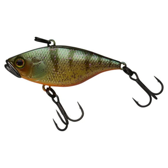 fishline202606082039103335304