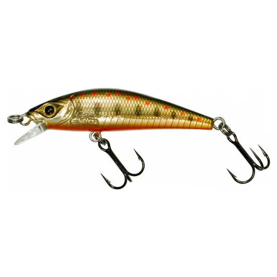 fishline202606082045073336084
