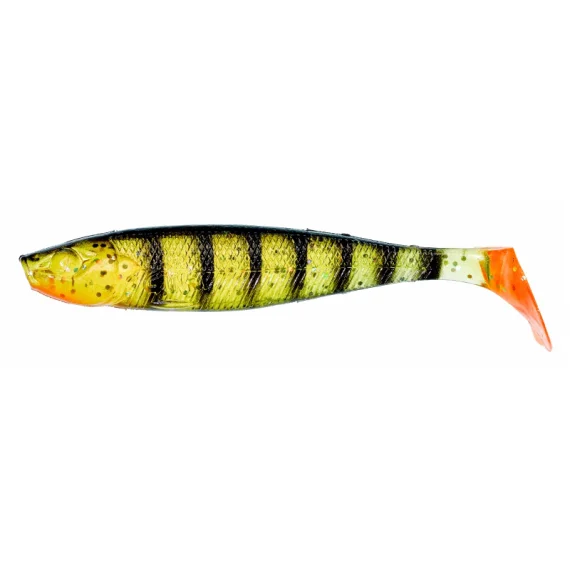 fishline202606082046513336312