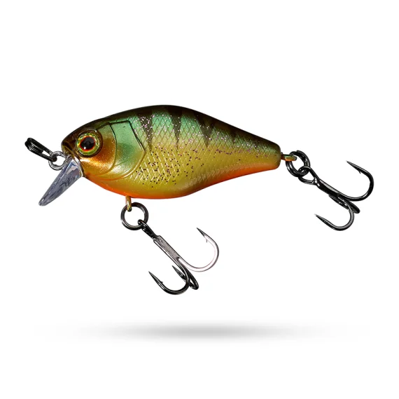 fishline202606082103373338379