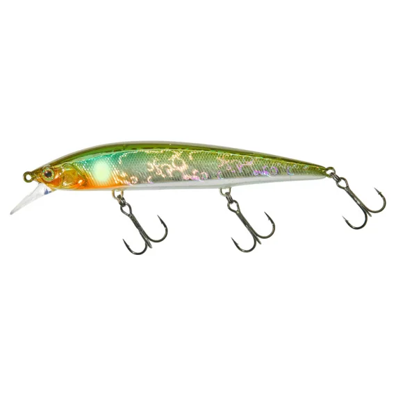 fishline202606082108003338880