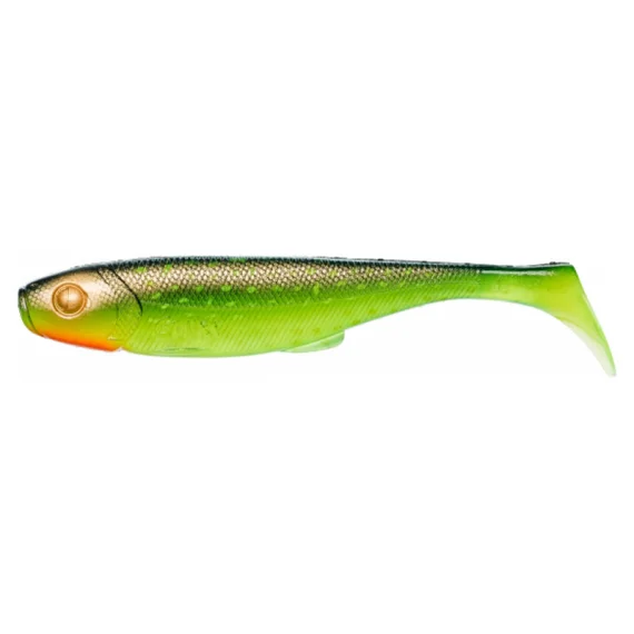 fishline202606082108253338934
