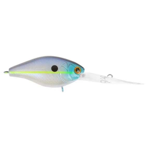 fishline202606082111083339256