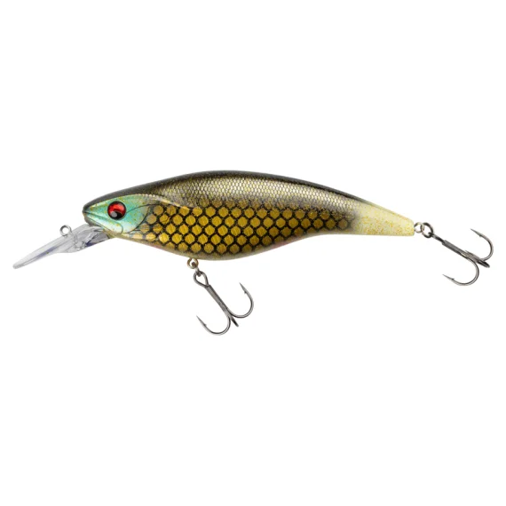 fishline202606082141193342870