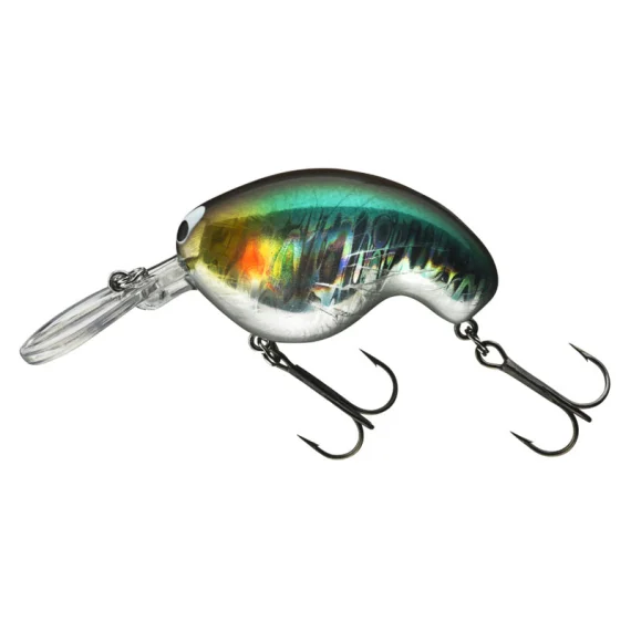 fishline202606082146283343449