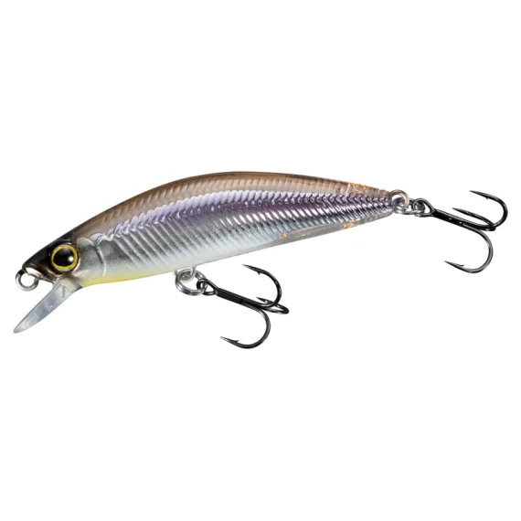 fishline202606082335513354458