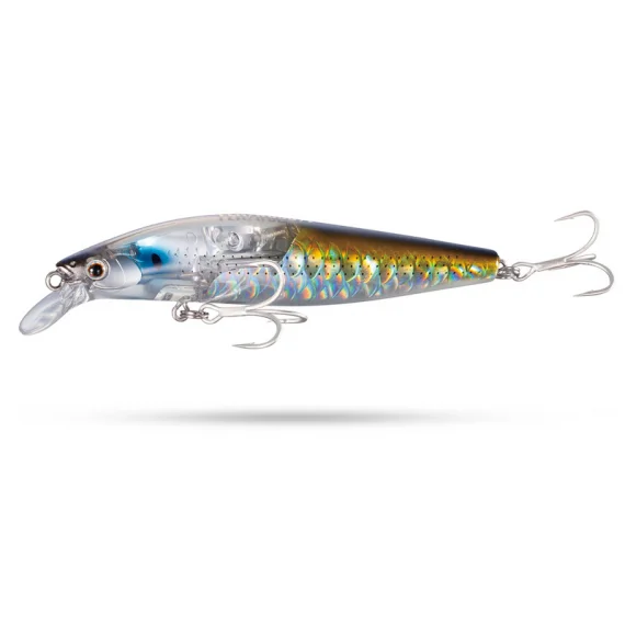 fishline202606082336273354495
