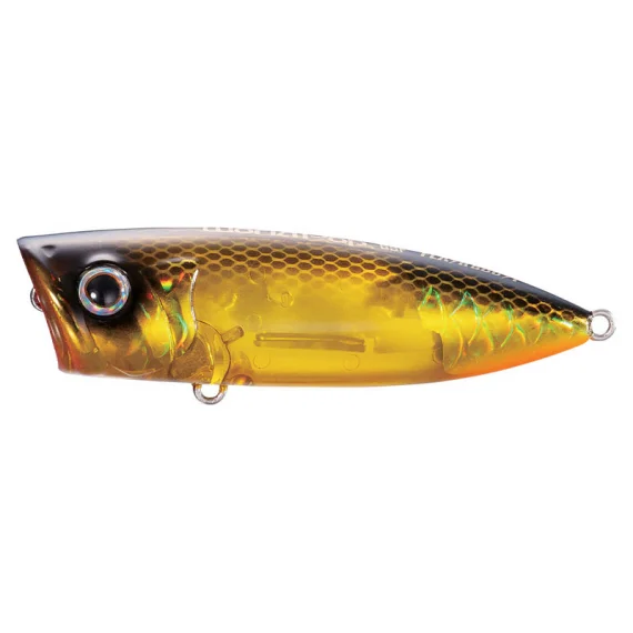 fishline202606082337283354558