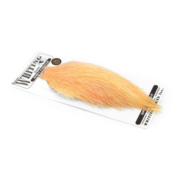 fishline202606090000293356034