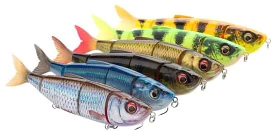 fishline202606090001303356082