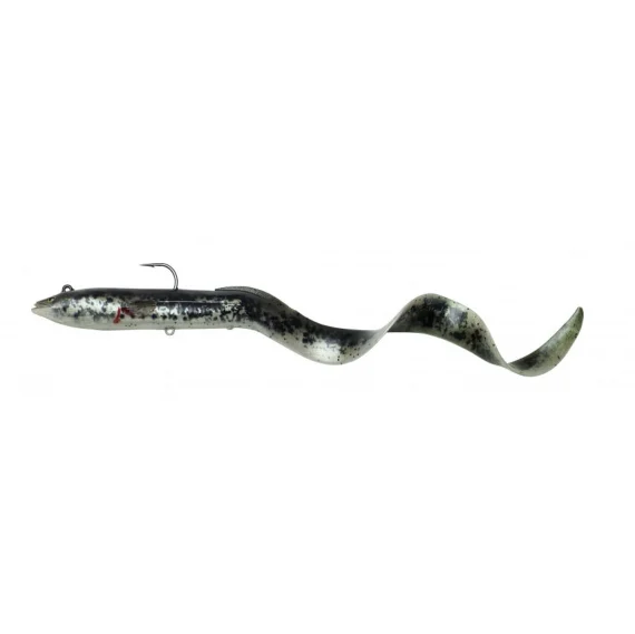 fishline202606090007263356442