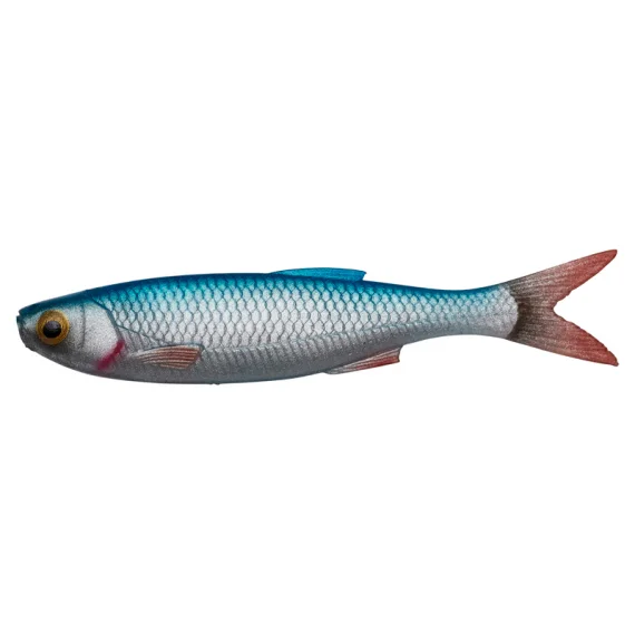 fishline202606090038383358386