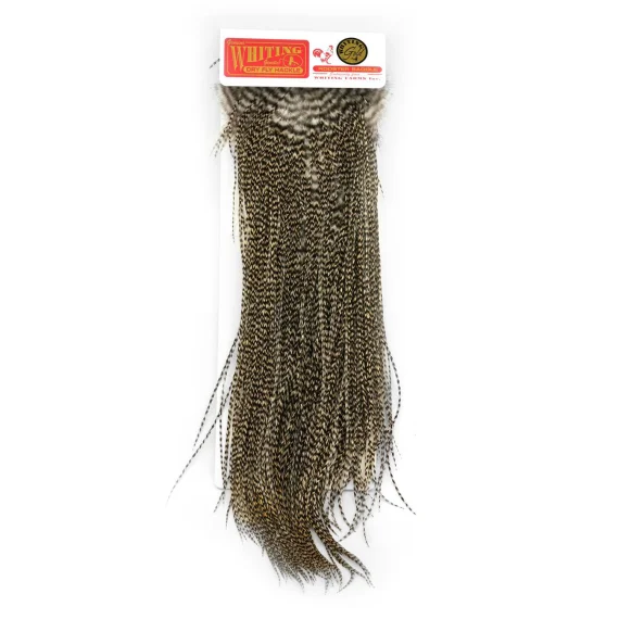fishline202606090135593360002